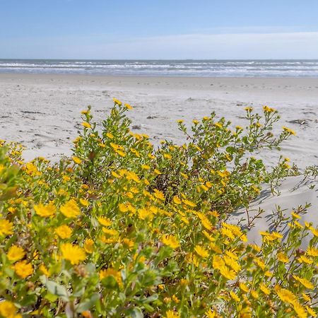 Islander East Condominiums Galveston Esterno foto